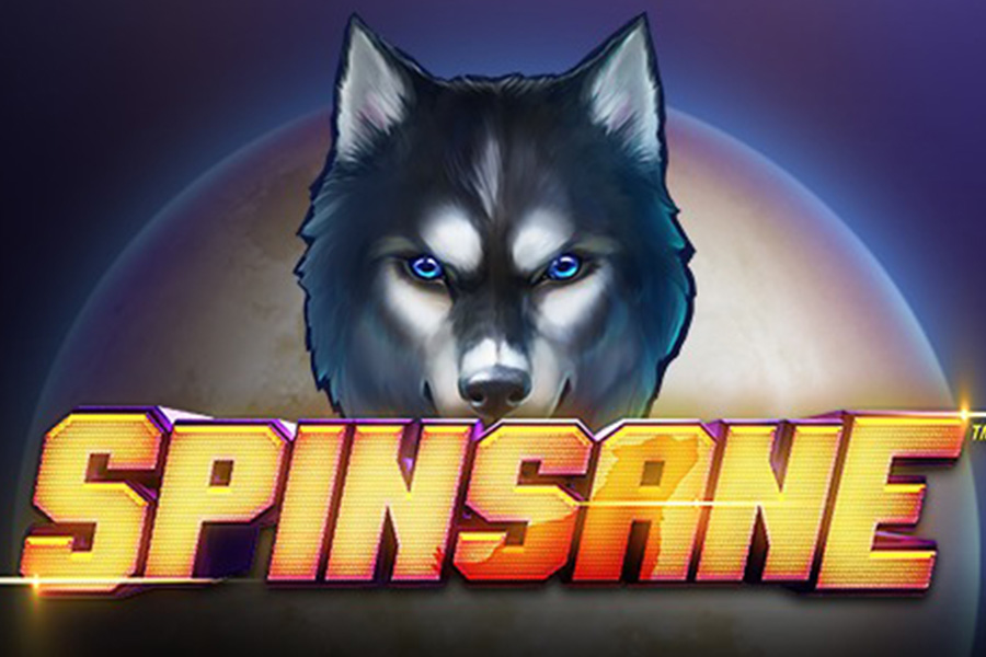 spinsane